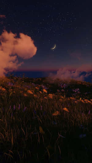 繁星點點的夜空，新月在野花田上空。