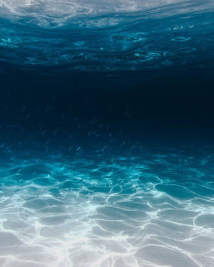 陽光圖案在沙質海床上泛起漣漪，魚兒在藍色水中游動。
