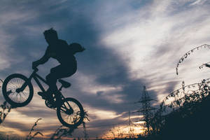 BMX車手在日落天空下跳躍，背景有電線和樹葉