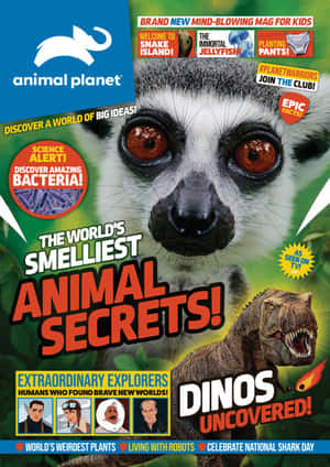 以狐猴、恐龍和科學為主題的兒童雜誌封面。