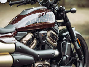 Harley-Davidson電單車引擎和油箱的特寫。