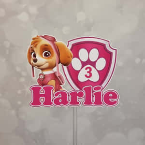 Paw Patrol Harlie蛋糕裝飾，粉紅色盾牌和數字三