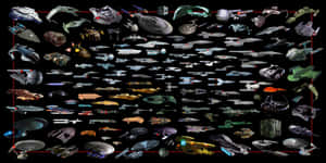 一系列科幻星艦在黑色背景上以網格排列。