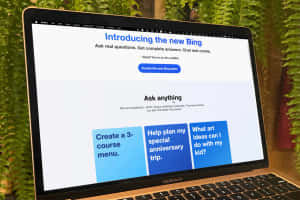 MacBook Air 顯示新 Bing 網站，後面有綠色蕨類植物。