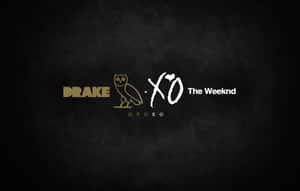 Drake OVO和The Weeknd XO標誌，帶有貓頭鷹，位於深色紋理背景上。