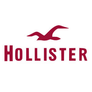 Hollister品牌標誌，帶有紅色海鷗和文字，背景為白色