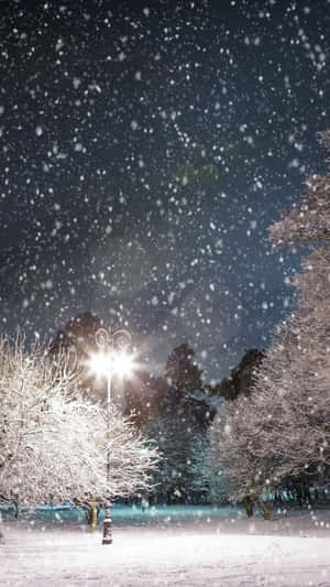 雪在點亮的街燈周圍飄落，夜晚的雪地公園。