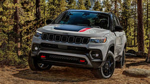 銀色Jeep Compass帶紅色條紋停泊在松樹林中。 — 森林 壁紙