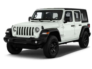 白色Jeep Wrangler，黑色飾邊和輪胎，白色攝影棚背景。
