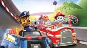 Paw Patrol 角色在他們的車輛上沿著蜿蜒的賽道奔馳。