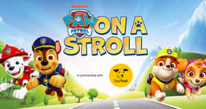 Paw Patrol 角色在陽光明媚的戶外場景中在路上奔跑。