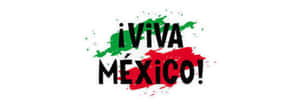 Viva Mexico 文字配上色彩繽紛的國旗顏色油漆飛濺。
