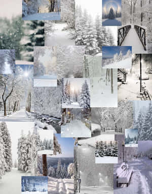 冬季森林場景，有被雪覆蓋的樹木、橋樑和小徑，在柔和的藍白燈光下。