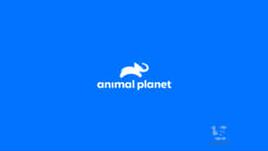 藍色背景上帶有白色大象剪影的 Animal Planet 標誌