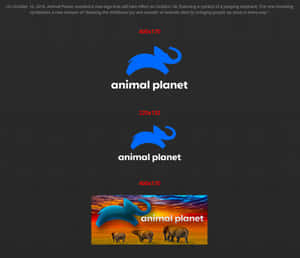 Animal Planet標誌變體，特色是藍色跳躍大象和有大象的日落。