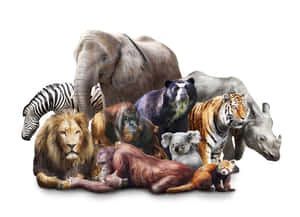 一系列雄偉的野生動物，包括獅子、大象、老虎和斑馬。