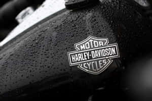 佈滿雨滴的Harley-Davidson電單車油缸