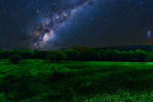 在繁星點點的夜空下，森林上方可見銀河的綠色田野。