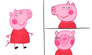 Peppa Pig 卡通角色在全身及分割視圖中微笑。
