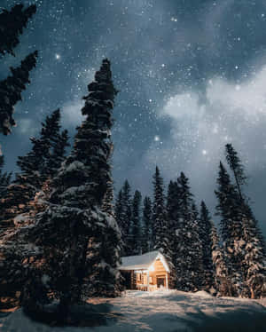 被松樹環繞的雪中小屋在繁星冬夜下閃耀。