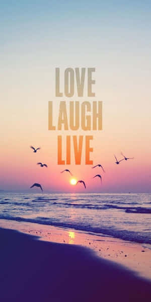 日落海灘，鳥兒飛翔，文字love laugh live在溫暖色調中發光。