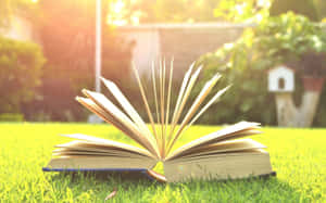 打開的書放在陽光花園的草地上