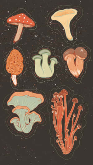 風格化蘑菇插畫在星空宇宙場景中漂浮，帶有發光輪廓。