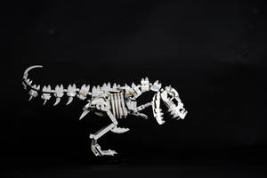 黑色背景上的白色LEGO T-Rex骨架模型