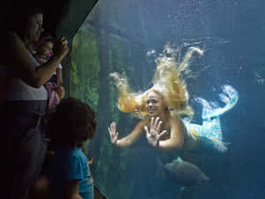 一條美人魚向從水族箱外面觀看的孩子們揮手。