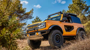 橙色福特Bronco SUV在陽光明媚的日子停放在松樹林中 — 老福特貨車 壁紙