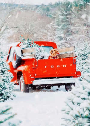 雪地森林中，復古紅色福特卡車載著狗和聖誕樹。 — 可愛聖誕動圖 壁紙