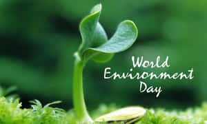 一株從苔蘚中生長出來的幼嫩植物芽，帶有葵花籽和「World Environment Day」文字。