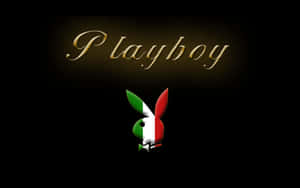 Playboy標誌，帶有意大利國旗顏色，黑色背景。