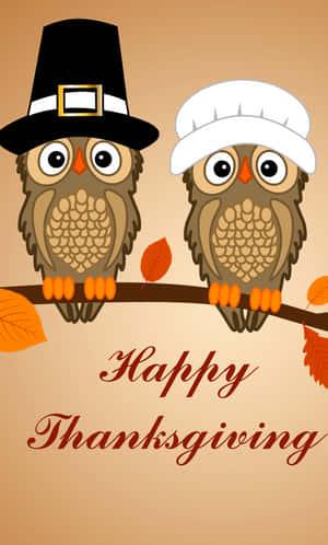 兩隻戴著朝聖者帽子的卡通貓頭鷹在樹枝上，有秋葉和'Happy Thanksgiving'文字。