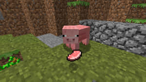 一隻粉紅色的Minecraft豬站在石塊附近的草地上。