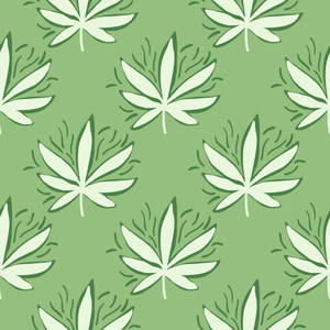 綠色背景，帶有奶油色大麻葉圖案。