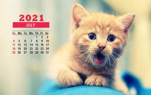 一隻薑黃色小貓，睜大眼睛，張開嘴巴，旁邊是2021年7月的日曆。