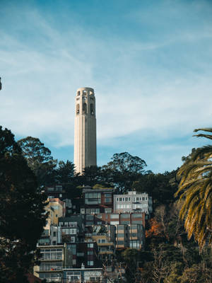 Coit Tower 在陽光明媚的日子裡，高高矗立於佈滿色彩繽紛房屋和樹木的山坡之上。 — 肖像 壁紙