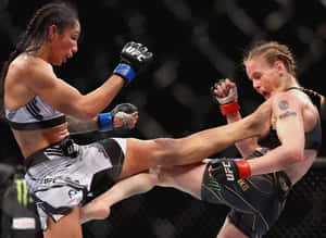 兩名女性MMA拳手在籠賽中行動。