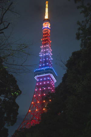 夜晚的東京塔被紅、藍、金色燈光照亮，周圍環繞著樹木。 — 日本 壁紙
