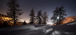 夜晚被雪覆蓋的山脈，明亮的月亮下樹木和星星。