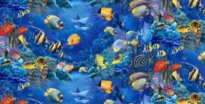 色彩繽紛的熱帶魚在藍色海洋的珊瑚礁中游動。 — 水下 壁紙