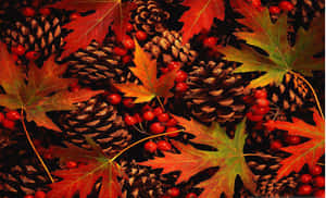 秋葉、松果和紅色漿果，呈現豐富的季節色彩。