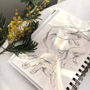 白色表面上的手繪素描本和黃色含羞草花。 — 繪畫 壁紙