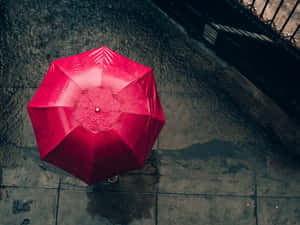 雨中濕滑路面上的紅色雨傘