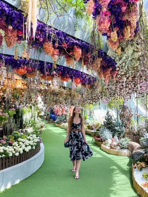 女士在植物園的花卉隧道中漫步。 — 唯美花朵動圖 壁紙