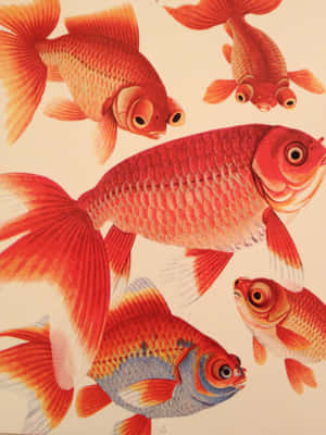一幅色彩繽紛的金魚在水中游泳的插圖。 — iPad Air 壁紙