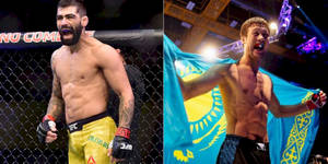 兩位勝利的MMA拳手在八角籠中慶祝，一位手持國旗。