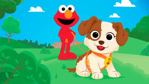 Elmo 喺陽光普照嘅公園入面，用狗帶拖住一隻微笑嘅小狗。