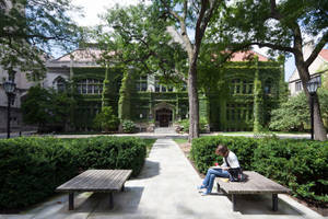 學生在常春藤覆蓋的大學建築前的長椅上學習